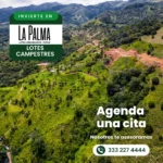 Invierte en Tranquilidad: Lotes en Venta en La Palma, Porce