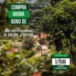 ¡Tu Espacio Ideal! Lotes en Venta en La Palma, Porce Antioquia